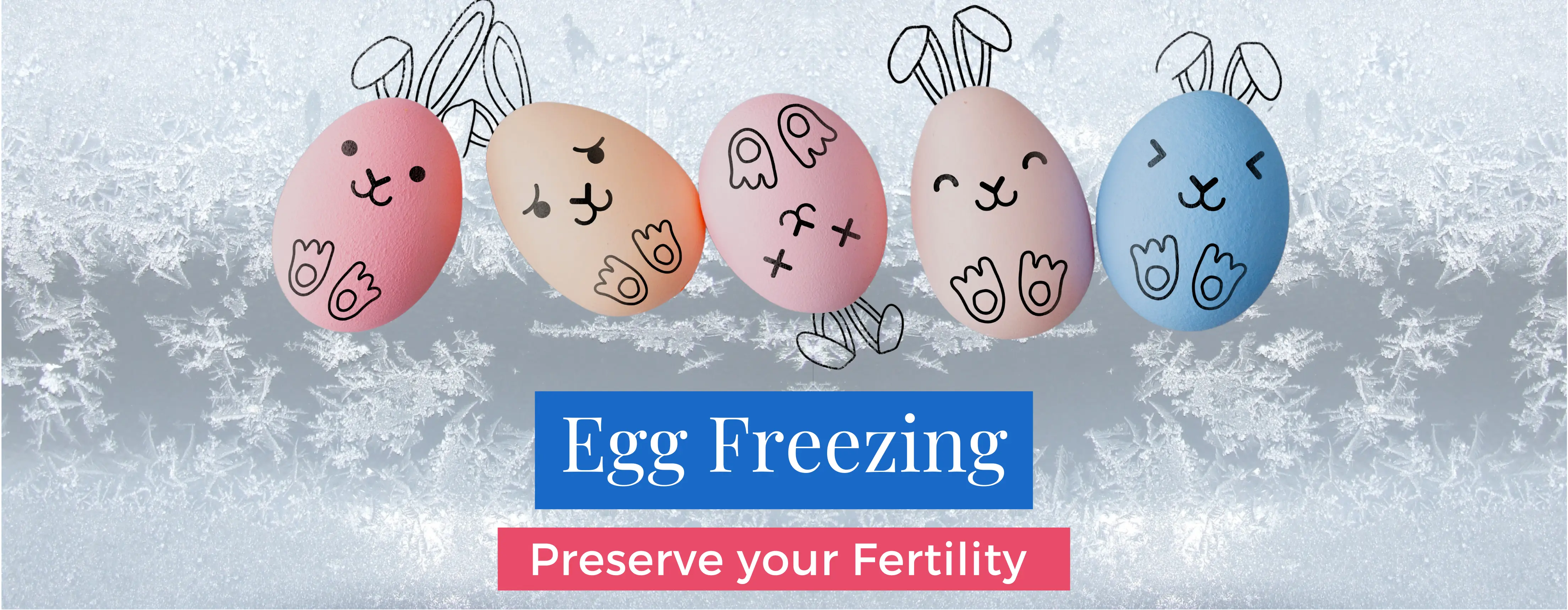Best Egg Freezing Hospital In Delhi | Sehgal Nursing Home