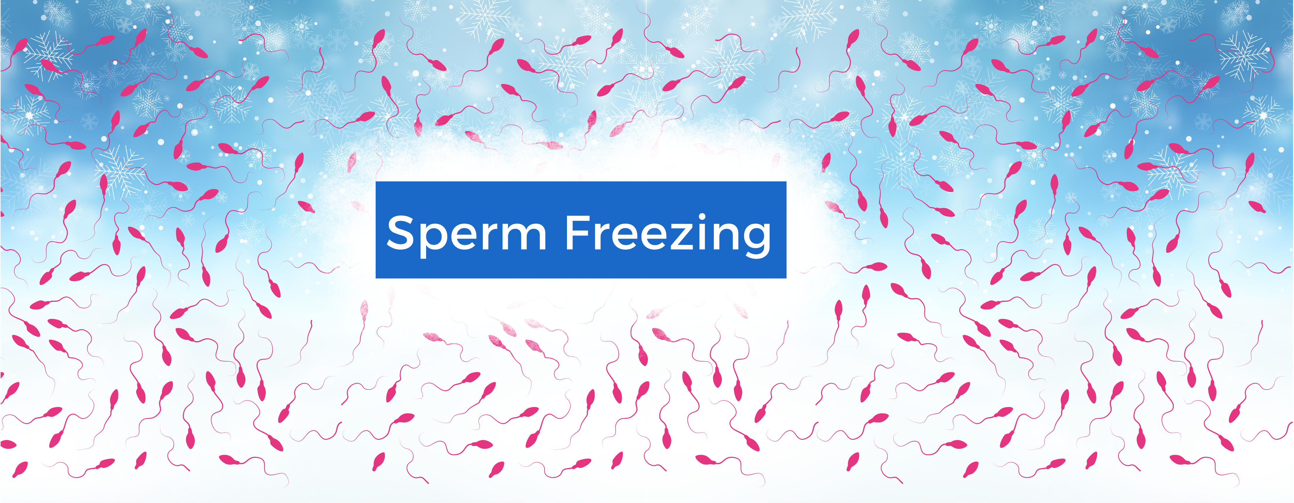 Sperm Freezing (Cryopreservation) Center In Delhi | SNH