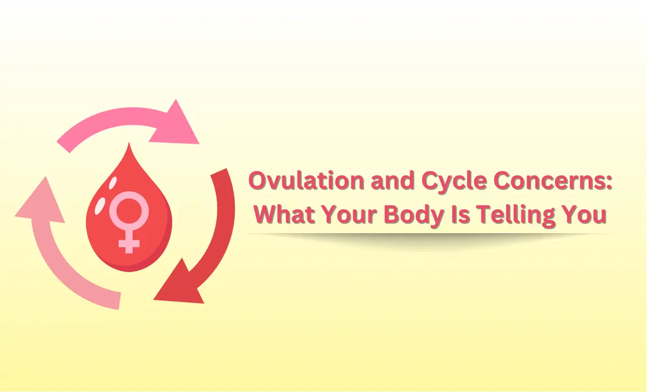 Ovulation Insights — Decode cycle concerns with ease